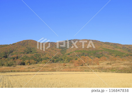 快晴の下、色鮮やかに紅葉した茨城県の秋の宝篋山(ほうきょうさん) 快晴の下、色鮮やかに紅葉した茨城県の秋の宝篋山(ほうきょうさん) 116847838