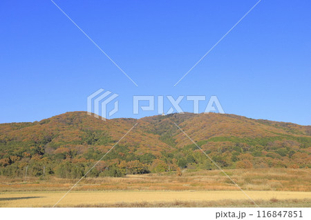 快晴の下、色鮮やかに紅葉した茨城県の秋の宝篋山（ほうきょうさん） 116847851