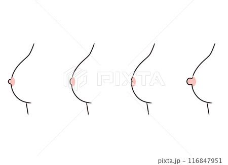 乳頭のかたち　乳首のタイプ　種類 116847951