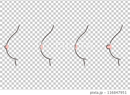 乳頭のかたち　乳首のタイプ　種類 116847951
