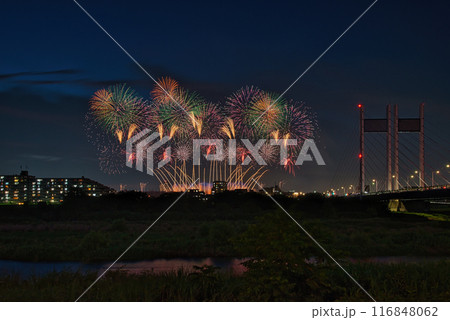 夜空に咲く花火　高く輝く花火大会　花火　夜空　花火イメージ　花火大会 116848062