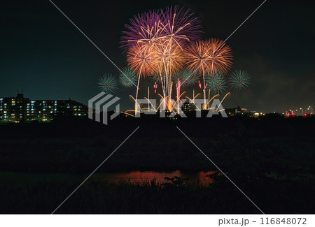 夜空に咲く花火　高く輝く花火大会　花火　夜空　花火イメージ　花火大会 116848072