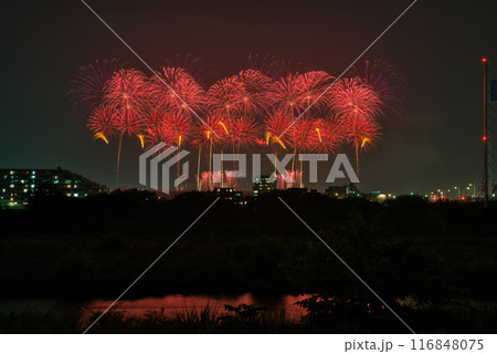 夜空に咲く花火　高く輝く花火大会　花火　夜空　花火イメージ　花火大会 116848075