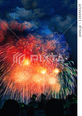 夜空に咲く花火 夜空に咲く花火 高く輝く花火大会 花火 夜空 花火イメージ 花火大会 夜空に咲く花火 夜空に咲く花火 高く輝く花火大会 花火 夜空 花火イメージ 花火大会 116848124