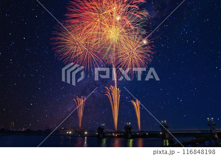 夜空に咲く花火　高く輝く花火大会　花火　夜空　花火イメージ　花火大会 116848198