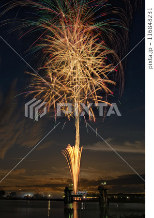夜空に咲く花火　高く輝く花火大会　花火　夜空　花火イメージ　花火大会 116848231