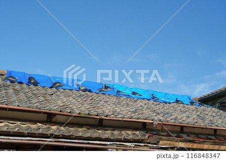 雨漏り対策のため屋根にかけたブルーシート 116848347