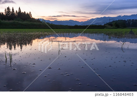 240617上野平z006 116848403