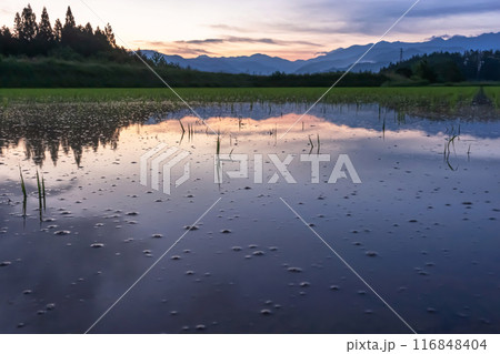 240617上野平z007 240617上野平z007 116848404