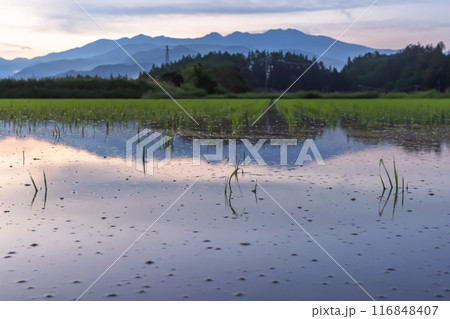 240617上野平z014 240617上野平z014 116848407