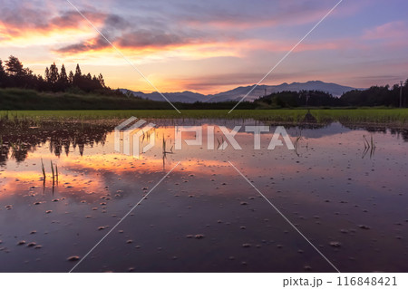 240617上野平z050 116848421