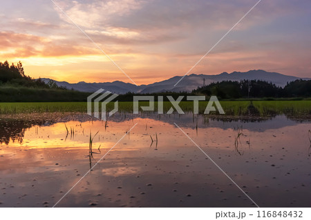 240617上野平z086 240617上野平z086 116848432