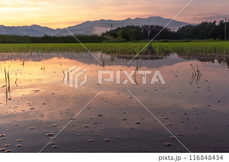 240617上野平z101 240617上野平z101 116848434