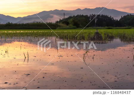 240617上野平z109 240617上野平z109 116848437