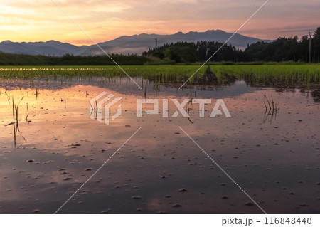 240617上野平z123 116848440