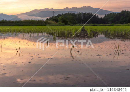 240617上野平z143 240617上野平z143 116848443