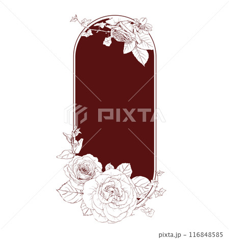 Hand drawn pencil graphics illustration of vintage flowers frame 116848585