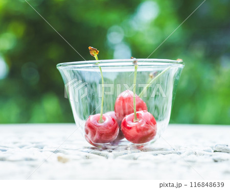 さくらんぼ 116848639