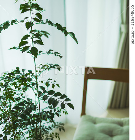 暗い部屋 116848655