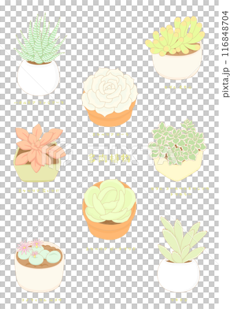 Cute succulent plant icon illustration set 116848704