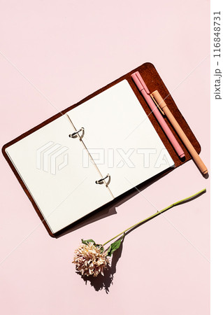 Open notebook with blank pages, pen and dried flower. Creativity and writing concept. Open notebook with blank pages, pen and dried flower. Creativity and writing concept. 116848731