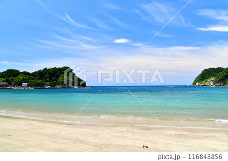 岩地海水浴場周辺(静岡県松崎町)【2024.7】 116848856