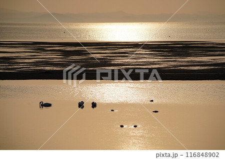 サロマ湖の夕暮れ サロマ湖の夕暮れ 116848902