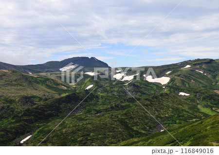 夏の大雪山 黒岳方面の登山道から望む白雲岳山頂部 夏の大雪山 黒岳方面の登山道から望む白雲岳山頂部 116849016