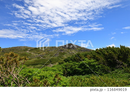 夏の大雪山 黒岳石室付近から黒岳山頂部を望む 夏の大雪山 黒岳石室付近から黒岳山頂部を望む 116849019