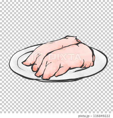 豚足の手書き筆絵風イラスト 116849222