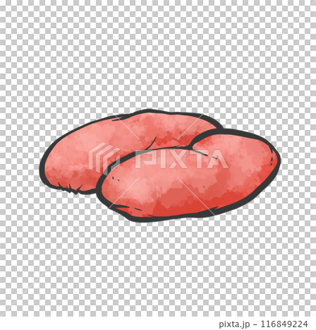 豬肉豆的手寫筆畫風格插畫 116849224