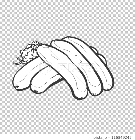 ソーセージの手書き筆絵風イラスト 116849243