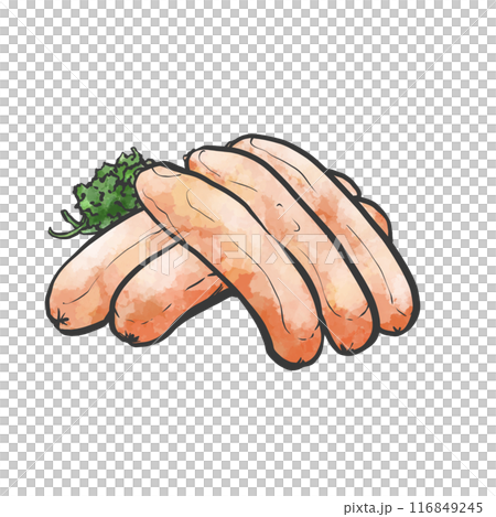 ソーセージの手書き筆絵風イラスト ソーセージの手書き筆絵風イラスト 116849245