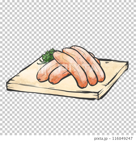 ソーセージの手書き筆絵風イラスト ソーセージの手書き筆絵風イラスト 116849247