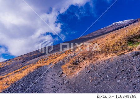 【静岡県】富士山五合目・富士宮登山口から見上げる山頂 116849269