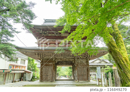 岐阜県揖斐川町　新緑の谷汲山華厳寺の仁王門 116849270