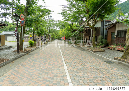 岐阜県揖斐川町　新緑の谷汲山華厳寺前の門前町の参道 116849271