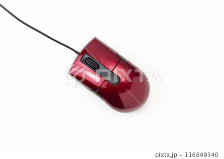 白背景にマウス 白背景にマウス 116849340