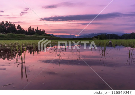 240620上野平z001 116849347