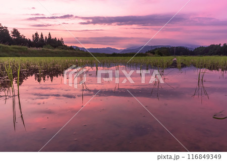 240620上野平z005 240620上野平z005 116849349