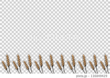 筆タッチの麦が並んだ背景イラスト 116849429