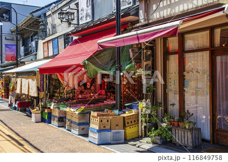 東京都　谷中ぎんざ・谷中銀座商店街　谷根千散歩コース 116849758