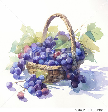 水彩で描いたぶどうのイラスト　AI画像 116849840