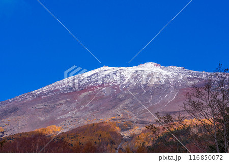 (静岡県)富士山・宝永山遊歩道から見る、初冠雪と紅葉 (静岡県)富士山・宝永山遊歩道から見る、初冠雪と紅葉 116850072
