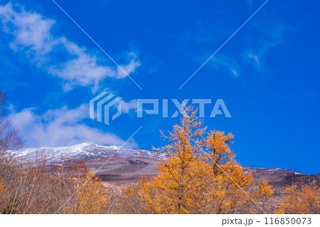 （静岡県）富士山・宝永山遊歩道から見る、初冠雪と紅葉 116850073