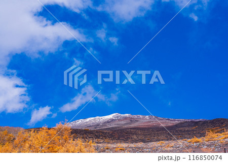 （静岡県）富士山・宝永山遊歩道から見る、初冠雪と紅葉 116850074