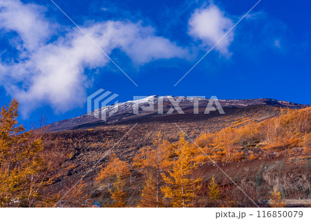 （静岡県）富士山・宝永山遊歩道から見る、初冠雪と紅葉 116850079