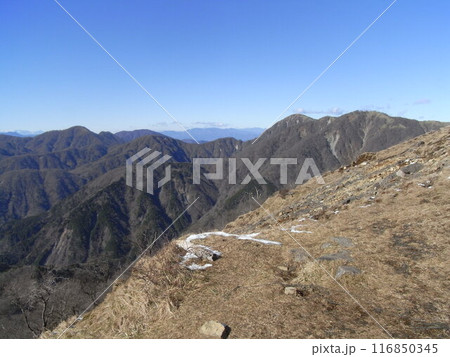 丹沢山地の自然（神奈川県） 116850345