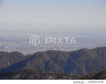 丹沢山地の自然（神奈川県） 116850348