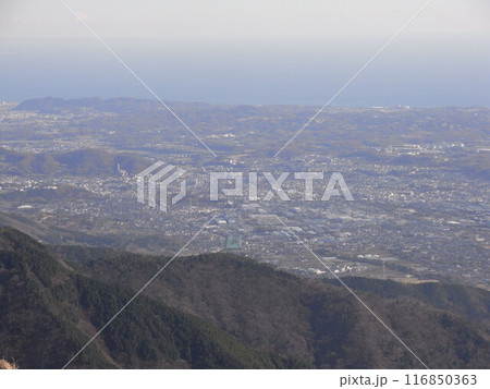 丹沢山地の自然（神奈川県） 116850363